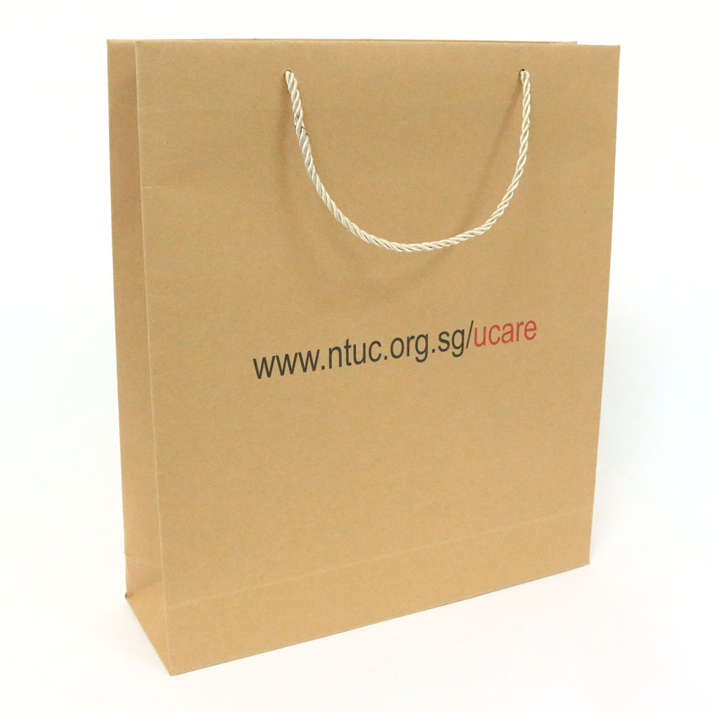 PrintandPack Custom Kraft Paper Bags Printing and Customisation