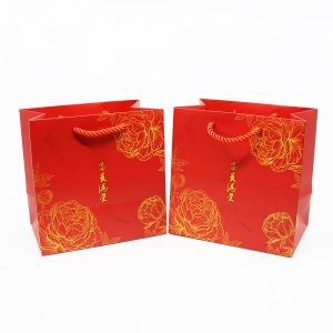 CNY-Paper-Bag_ESR-Reit_1
