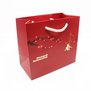 CNY-Paper-Bag_Rockwell-Automation_2