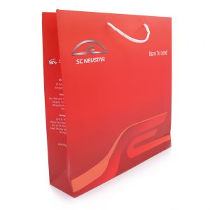 Custom-Made-Paper-Bags_SC-Neustar-1