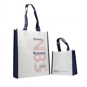 Laminate Non Woven Bag