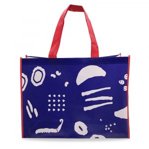 Laminated Non Woven Bags